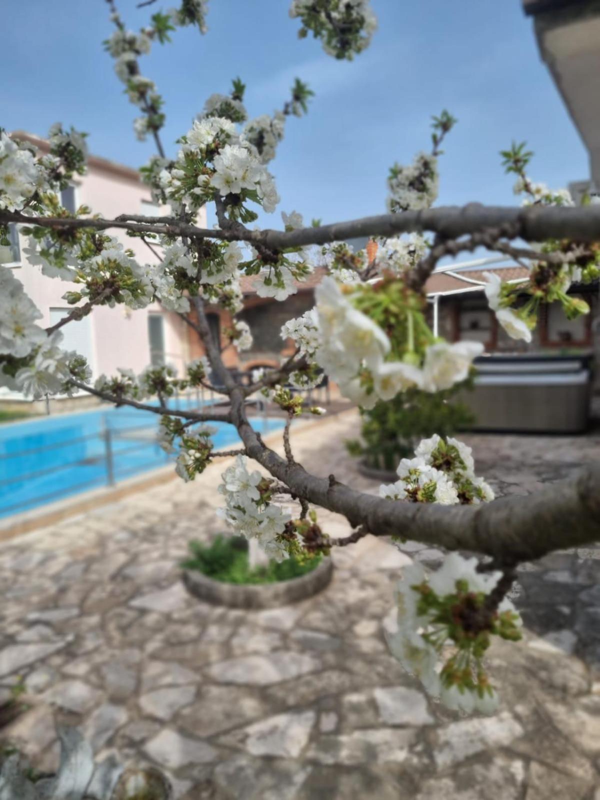 モスタルHacienda Kolendaアパートメント エクステリア 写真